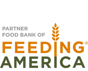 A logo featuring "Blasting and Mining Solutions" in stylish gray and vibrant orange text, with the company name elegantly displayed in green below, reminiscent of the community spirit seen at the Los Angeles Regional Food Bank.