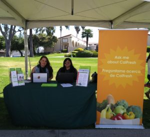 CalFresh signup table