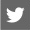 Twitter Grey Logo