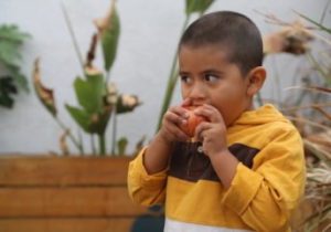 A young child wearing a yellow and brown hoodie is enjoying an apple, standing outdoors amid green plants and a wooden planter. Supported by the Los Angeles Regional Food Bank, this moment reflects the community's dedication to providing fresh, nutritious food for all families.