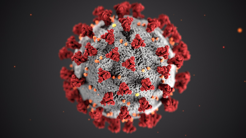 Coronavirus Update from the Los Angeles Regional Food Bank
