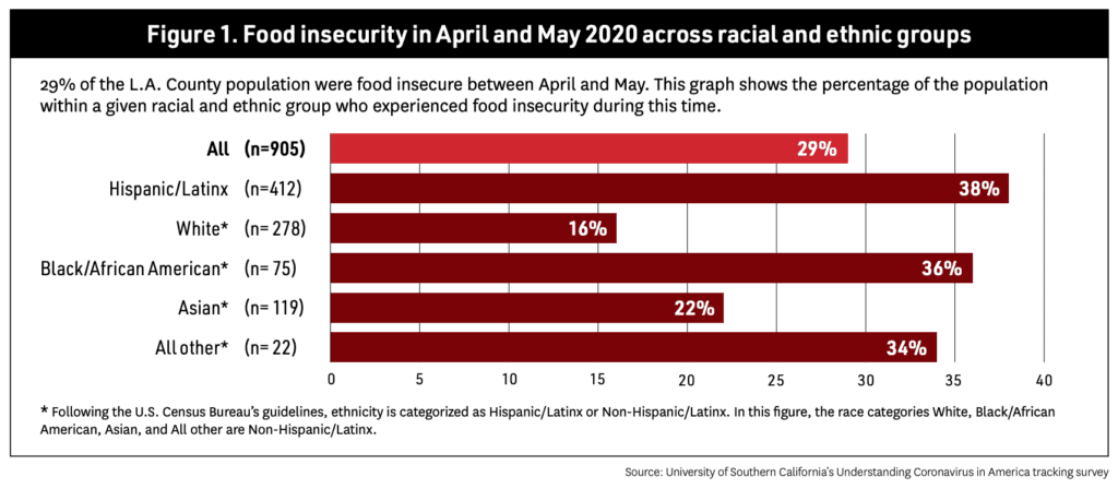 USF Food insecurity Chart across racial and ethnic groups