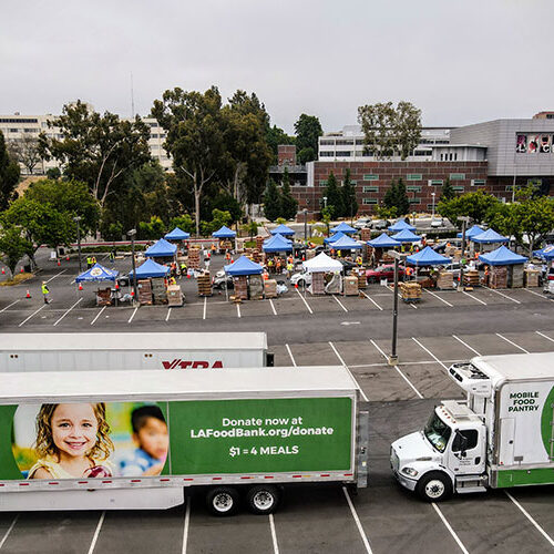 larfb-parking-lot-with-trucks-750x500-1-500x500-1 An aerial view of a food distribution event in a parking lot with blue-canopied stations and volunteers showcases the vital work of the Los Angeles Regional Food Bank. A truck with "Donate now at LAFoodBank.org/donate" prominently displayed in the foreground highlights the call to action.