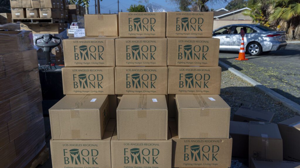 Stacks of cardboard boxes labeled 