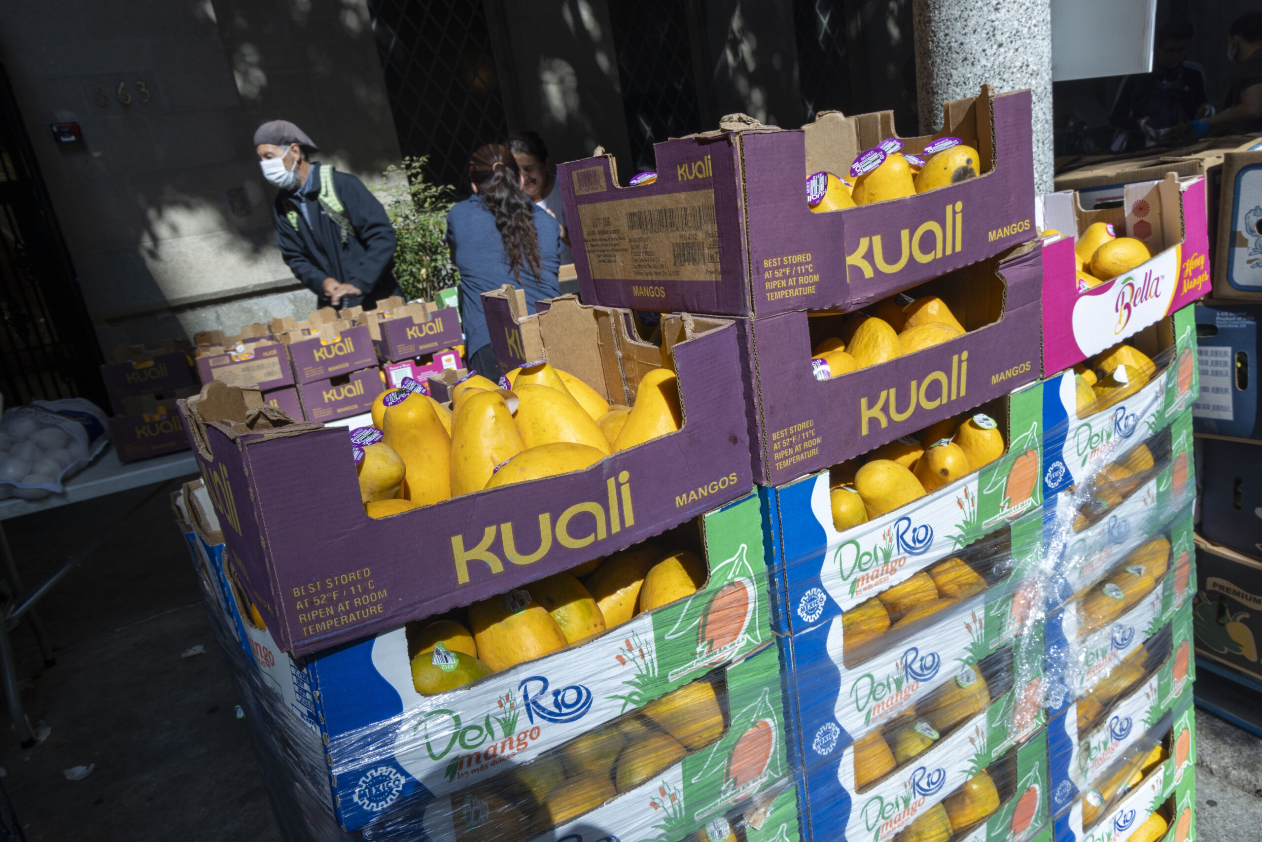 240814-Immanuel-Presbyterian-0476 Distribution of mangoes at Immanuel Presbyterian Church in Koreatown.