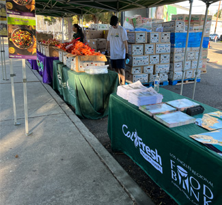 A sidewalk food bank distribution site with tables covered in green cloths, produce boxes, and stacks of flyers. Two people are working under canopy tents in the morning light.